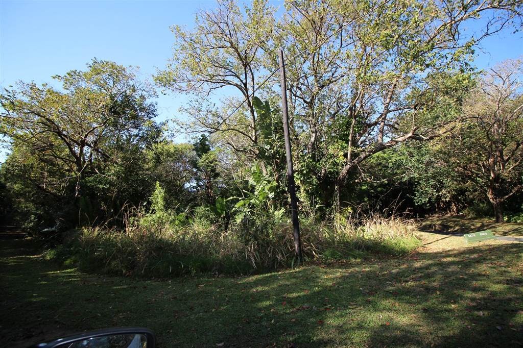 4076 m² Land available in Southbroom photo number 5