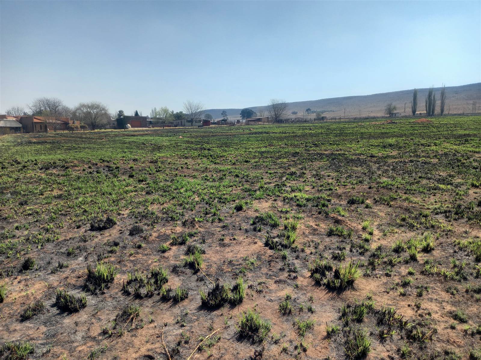 9992 m² Land available in Middelburg Central photo number 5
