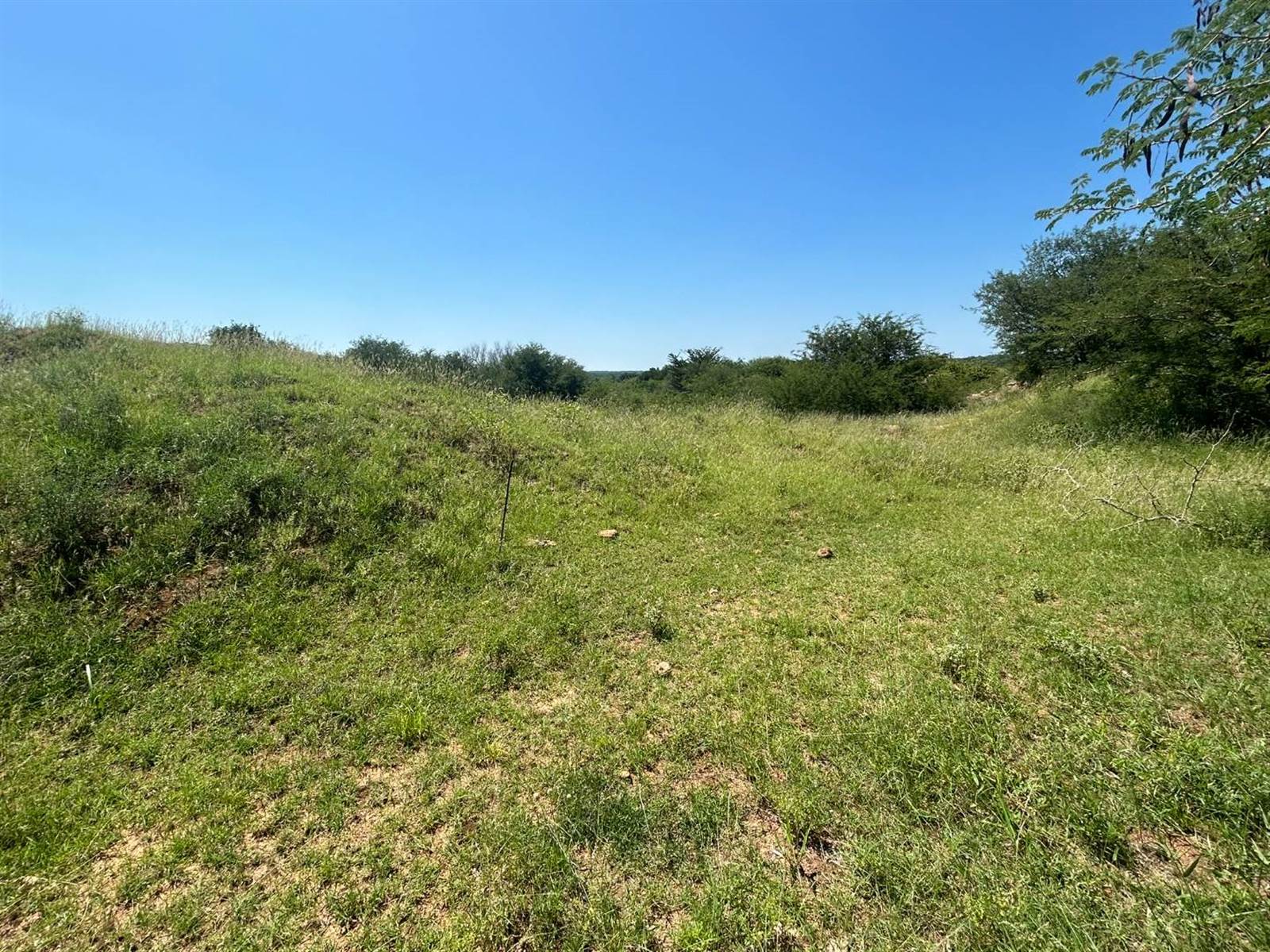 2956 m² Land available in Elephant Rock Eco Estate photo number 17
