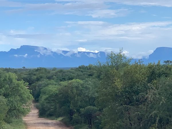 2 956 m² Land 2 956 m² Land