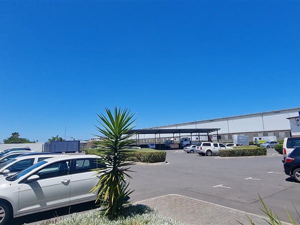 245.100006103516  m² Commercial space in Montague Gardens