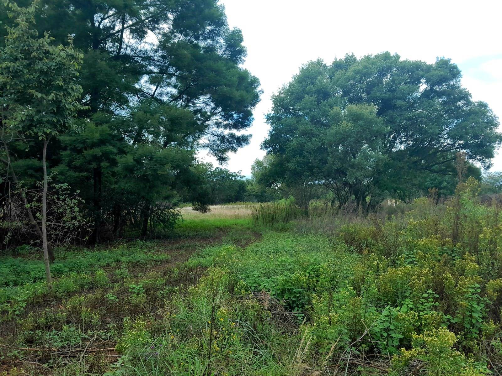 1.1 ha Land available in Kameeldrift East photo number 1