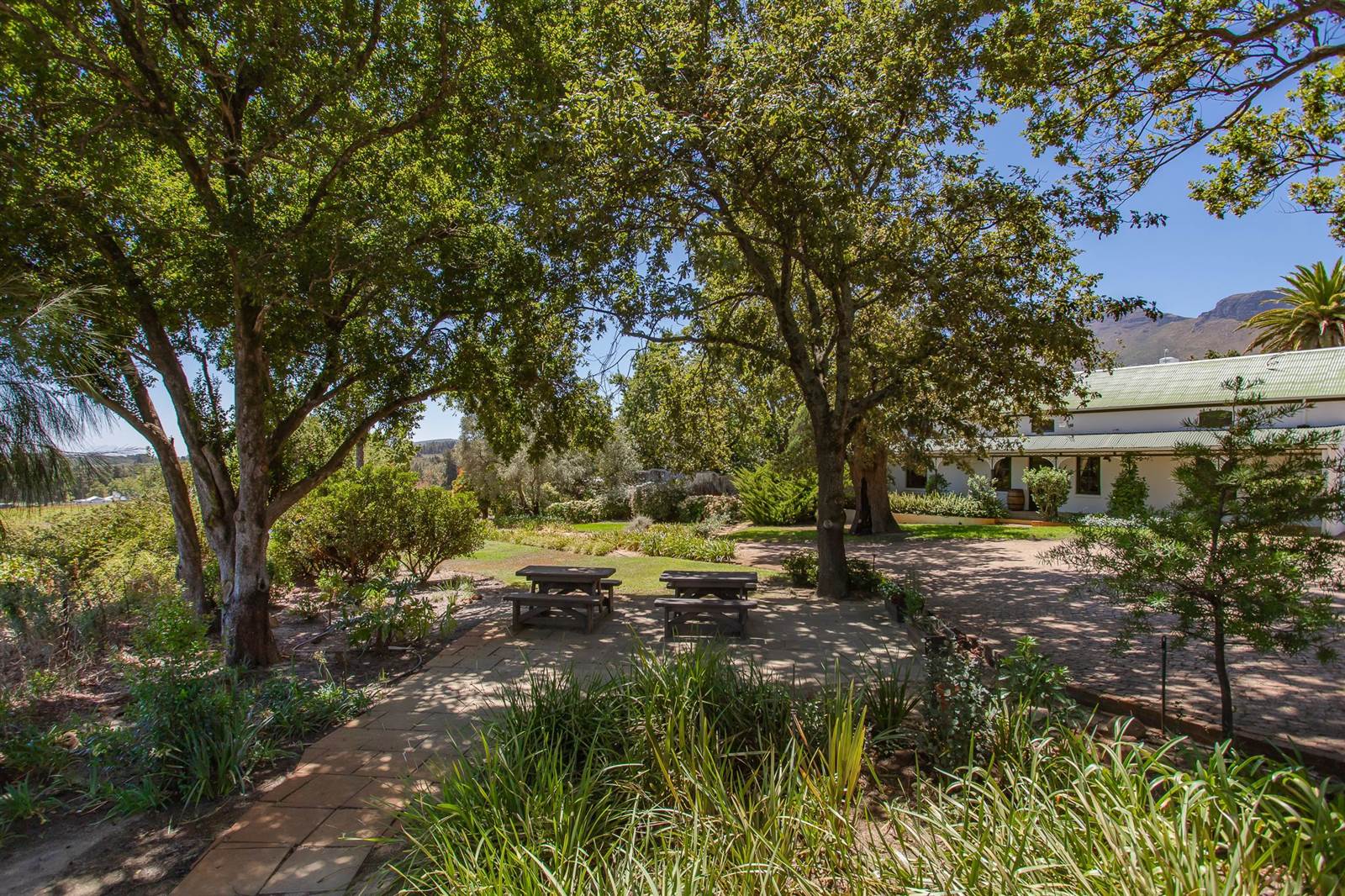 16.3 ha Farm in Northern Paarl photo number 8