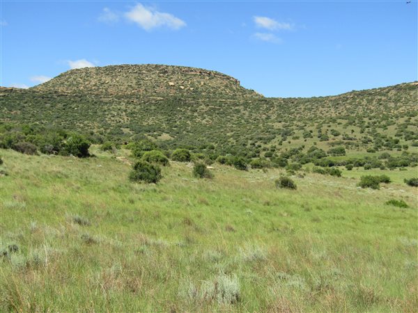251 ha Farm 251 ha Farm