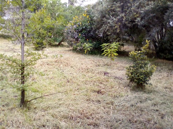 3504 m² Land available in Craighall