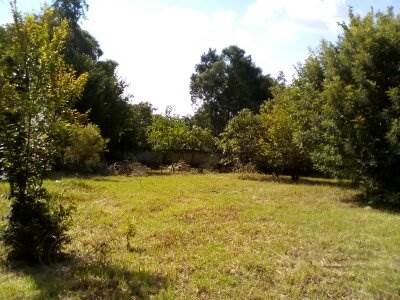 3504 m² Land available in Craighall photo number 2