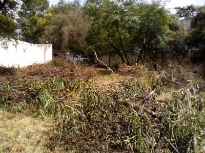 3504 m² Land available in Craighall photo number 5