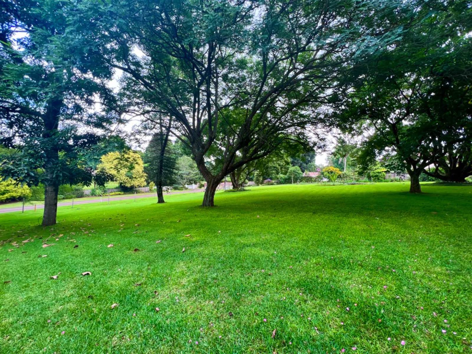 2175 m² Land available in Winston Park photo number 5