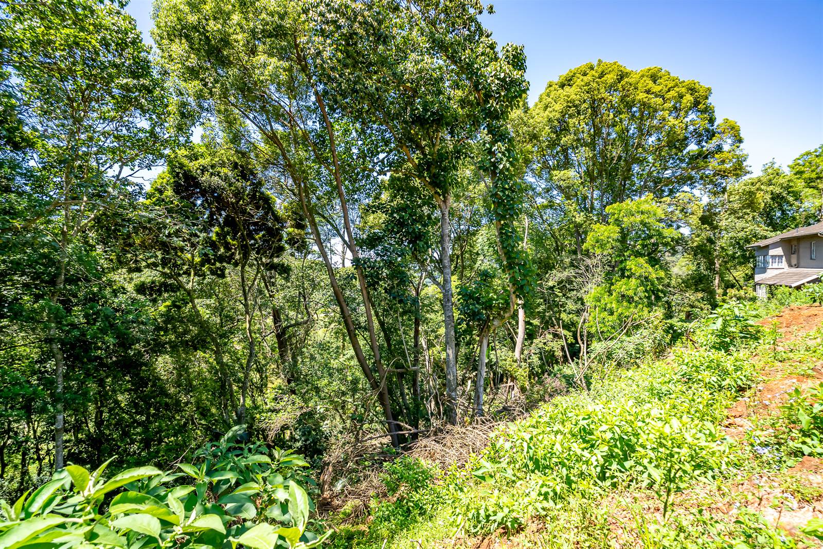4977 m² Land available in Kloof photo number 12
