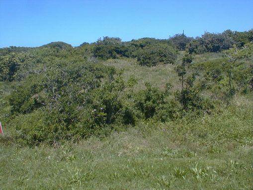903 m² Land available in Boknesstrand photo number 3