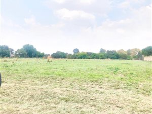 6500 m² Land available in Benoni AH