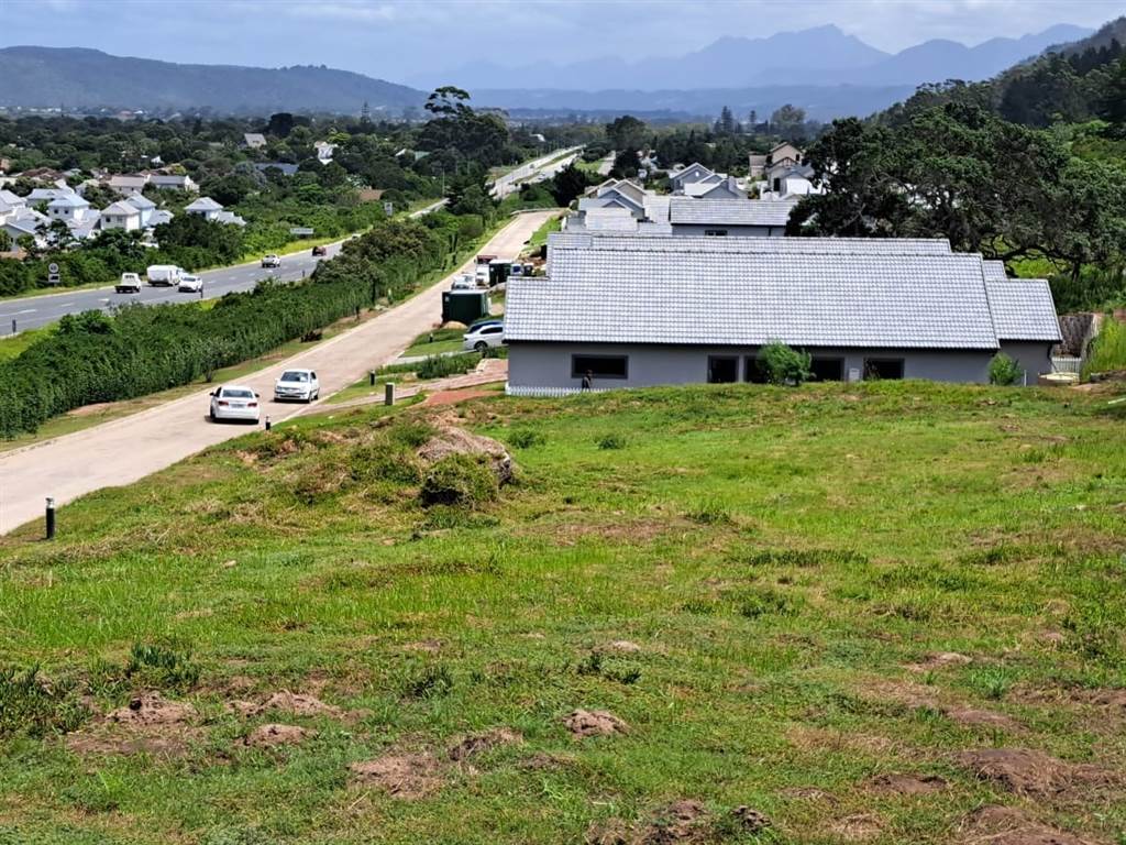 1128 m² Land available in Sedgefield photo number 4