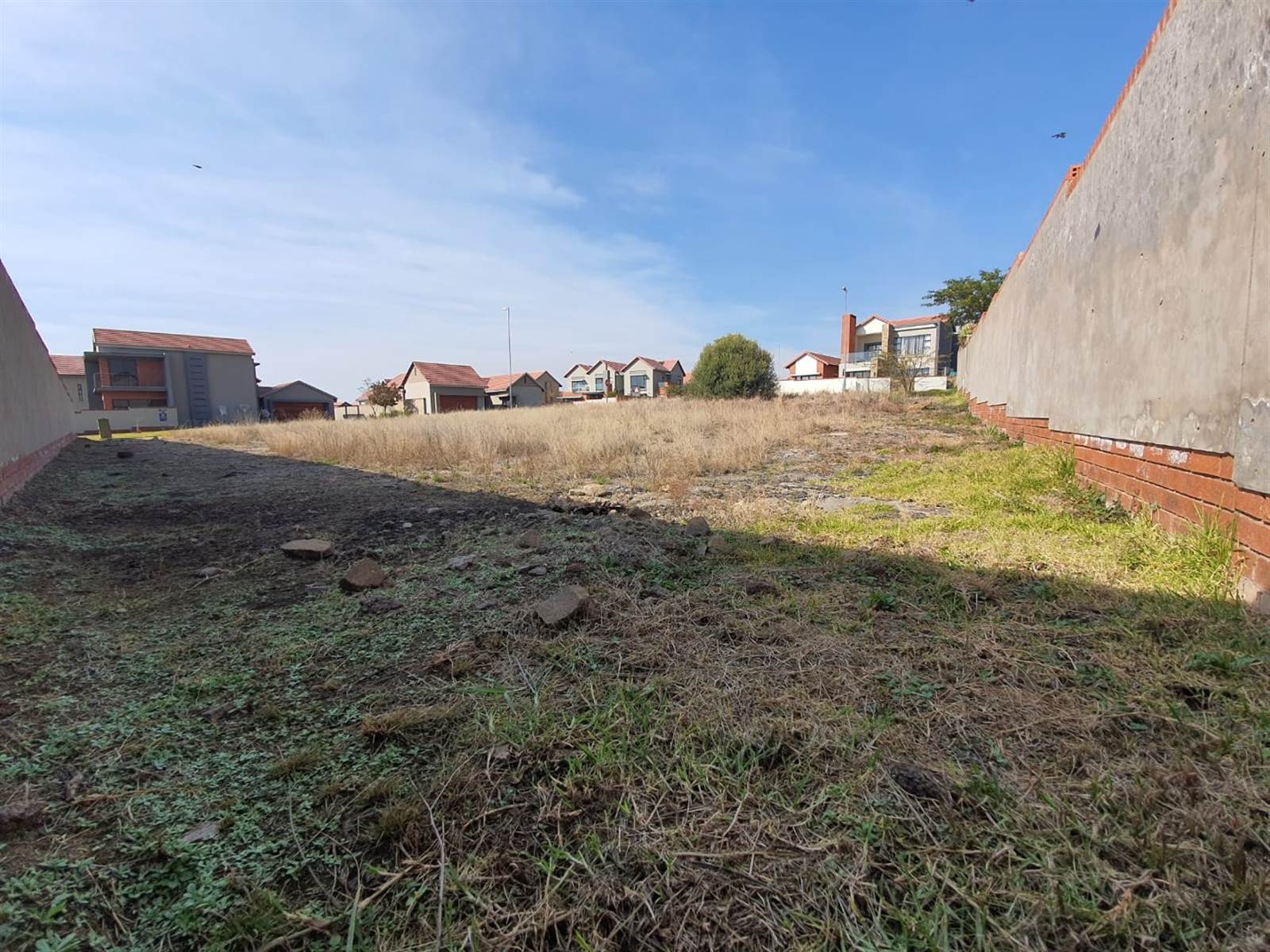 891 m² Land available in Wild Olive Estate photo number 12