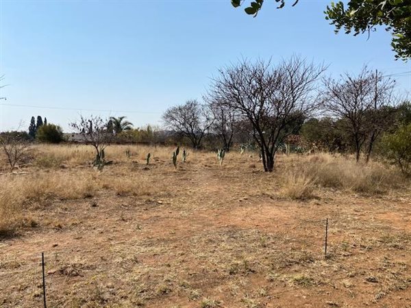 7565 m² Land available in Flimieda