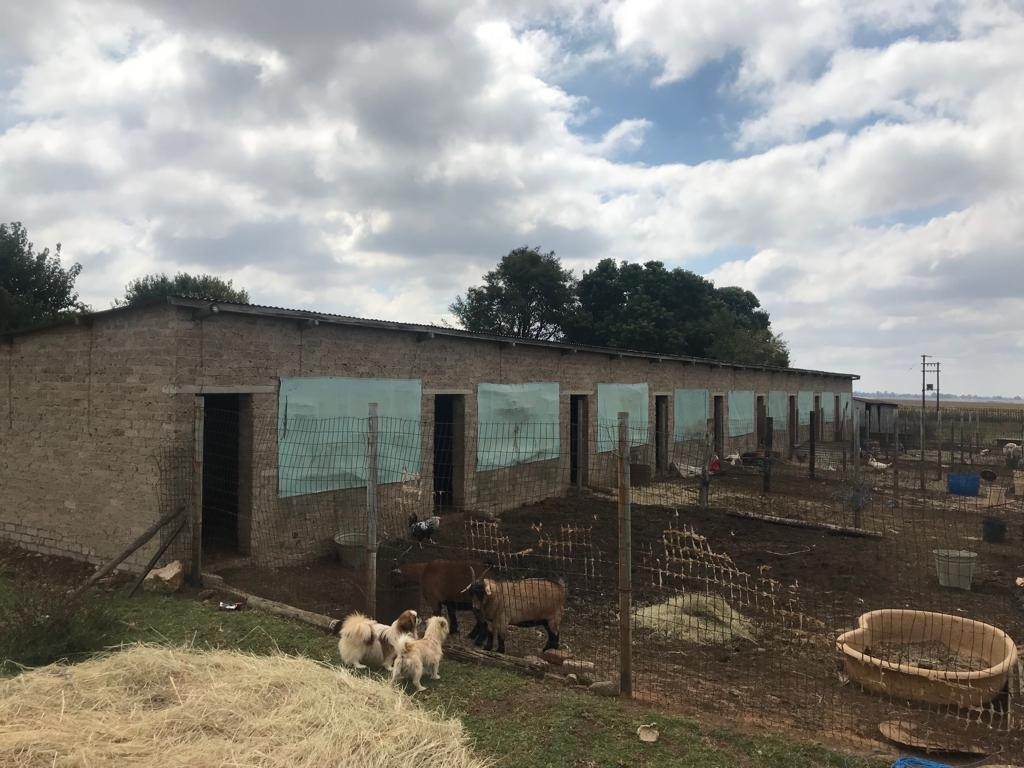 3.2 ha Farm in Delmas photo number 20