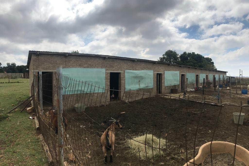 3.2 ha Farm in Delmas photo number 19