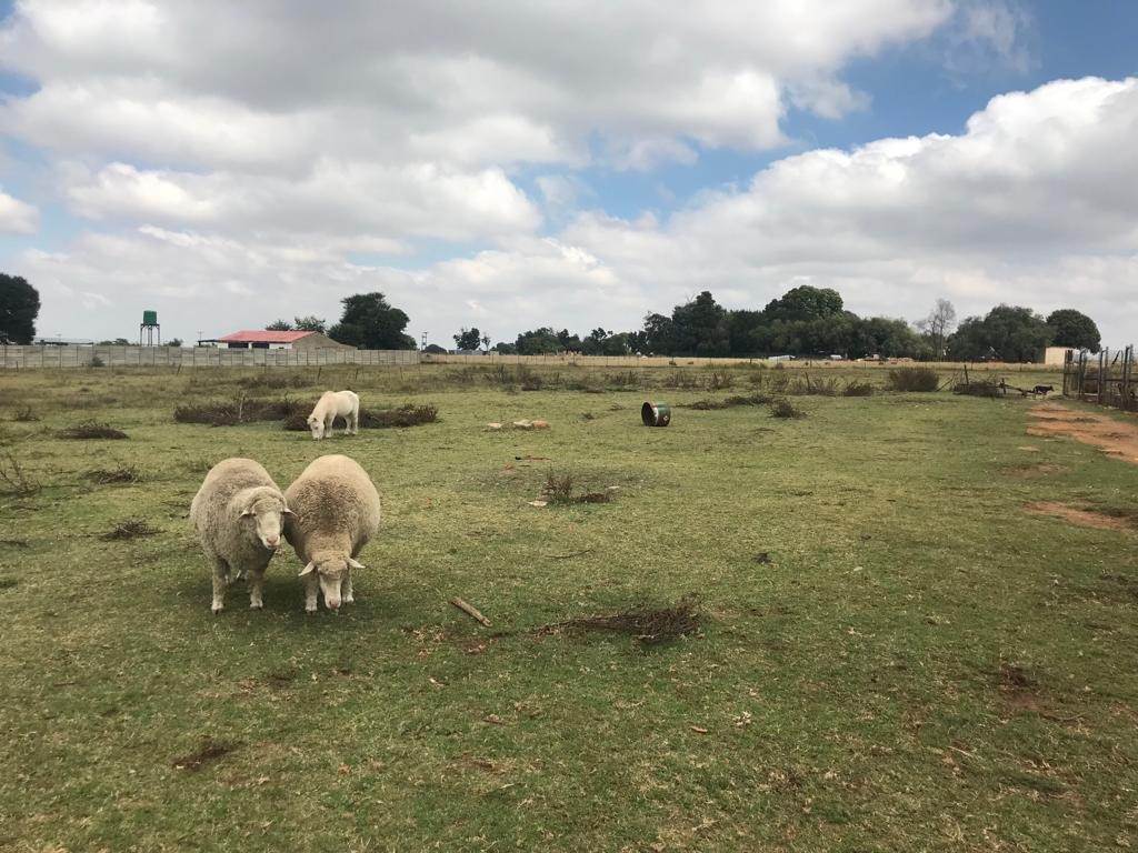 3.2 ha Farm in Delmas photo number 26