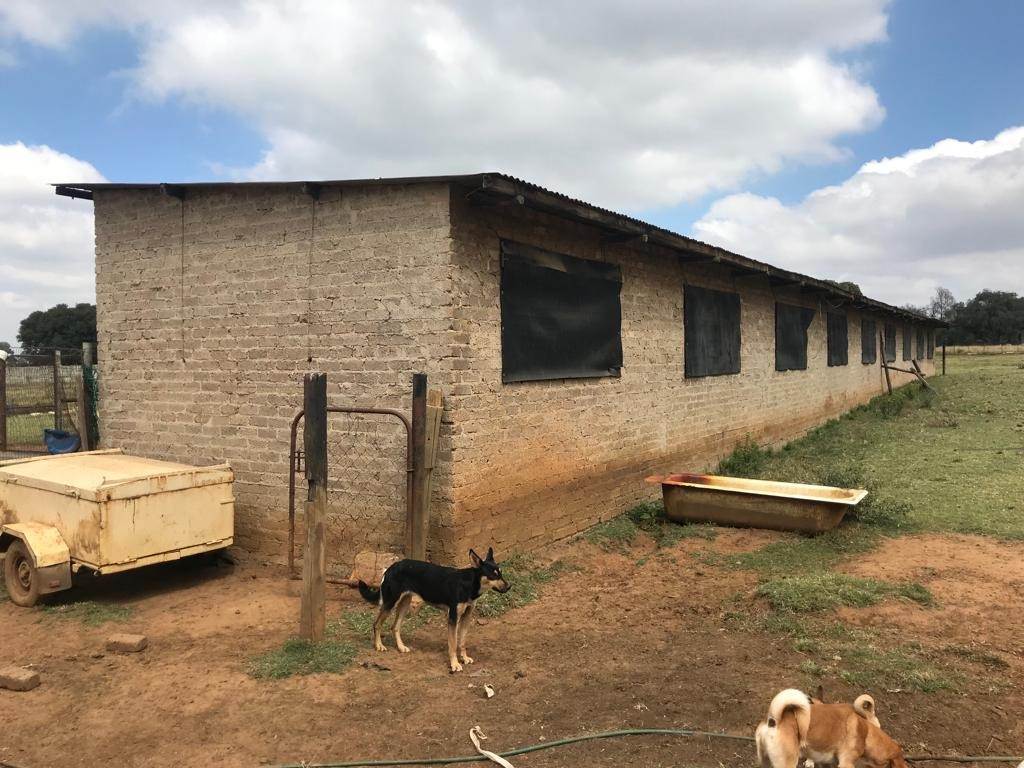 3.2 ha Farm in Delmas photo number 21