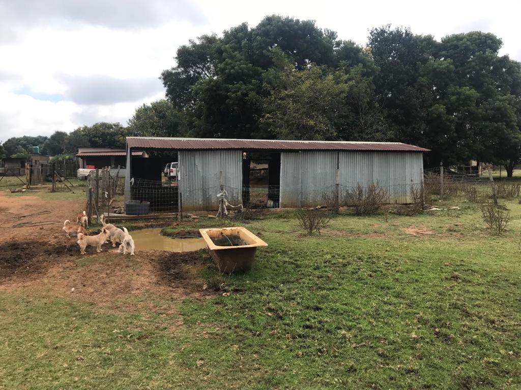 3.2 ha Farm in Delmas photo number 22