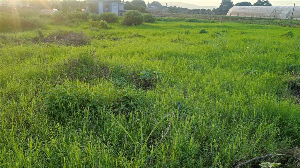 868 m² Land available in Tzaneen photo number 5