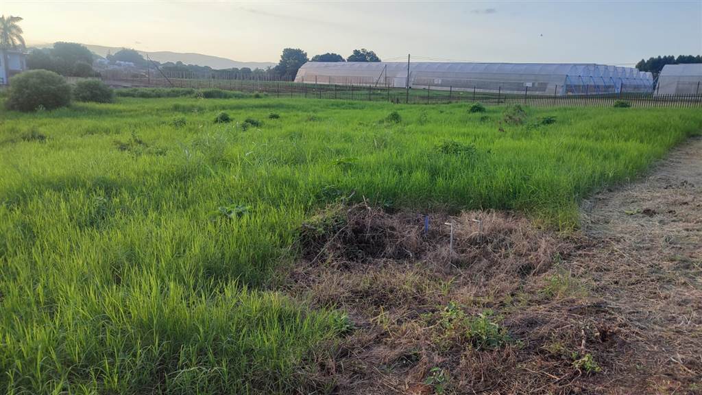 868 m² Land available in Tzaneen photo number 3