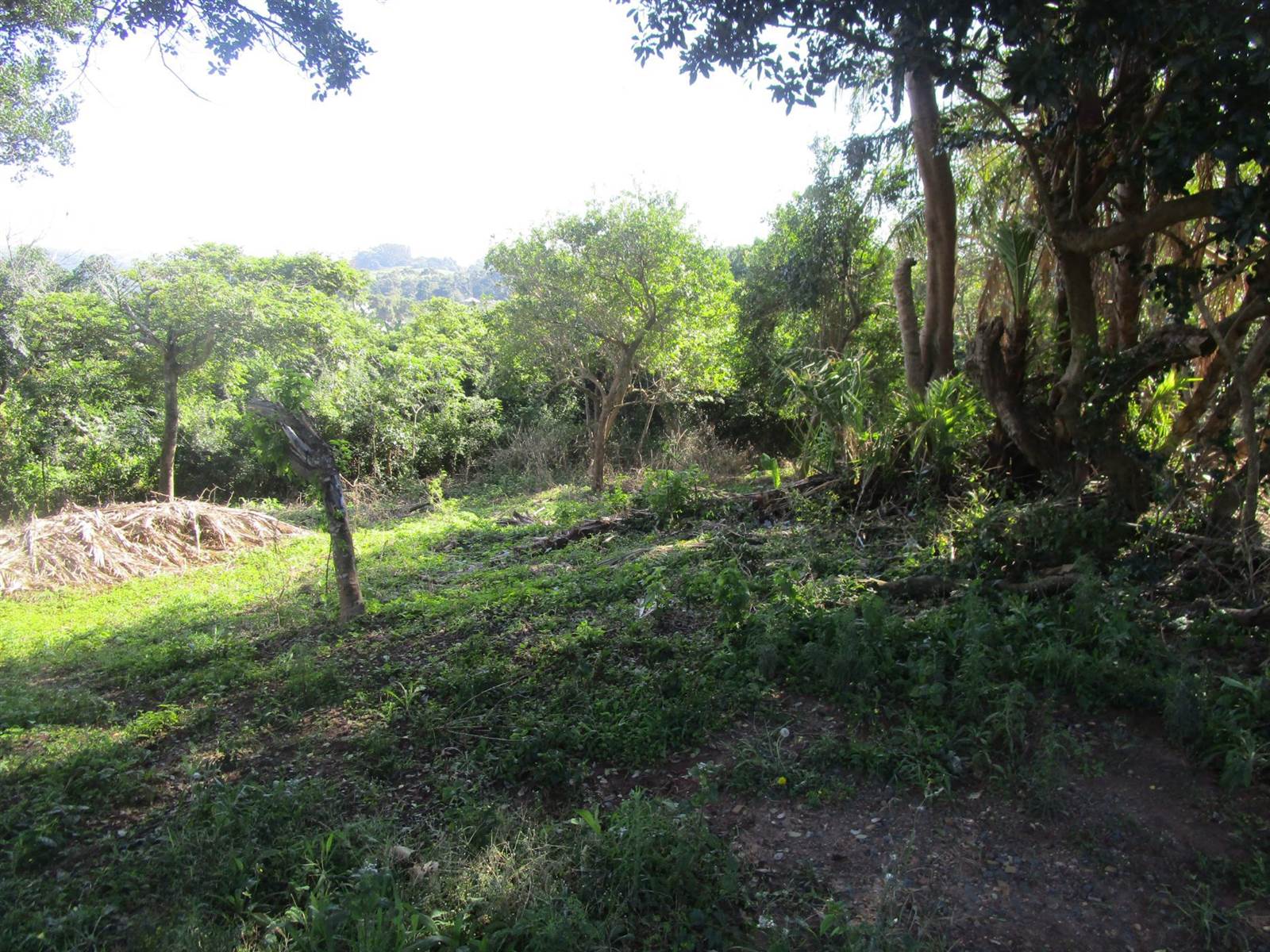 1578 m² Land available in Pennington photo number 4