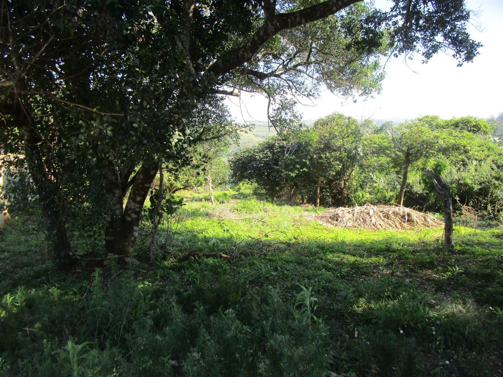 1578 m² Land available in Pennington photo number 5