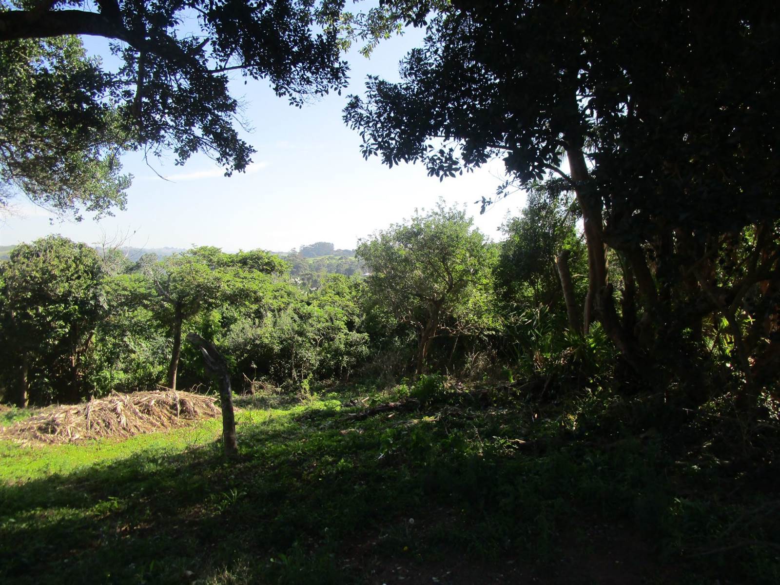 1578 m² Land available in Pennington photo number 3