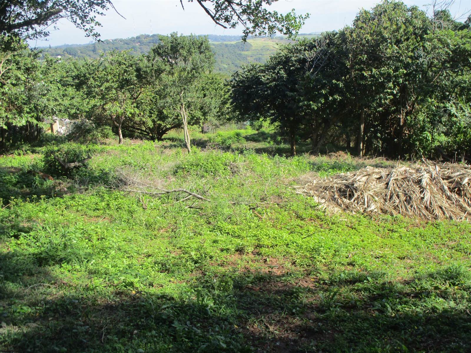 1578 m² Land available in Pennington photo number 6