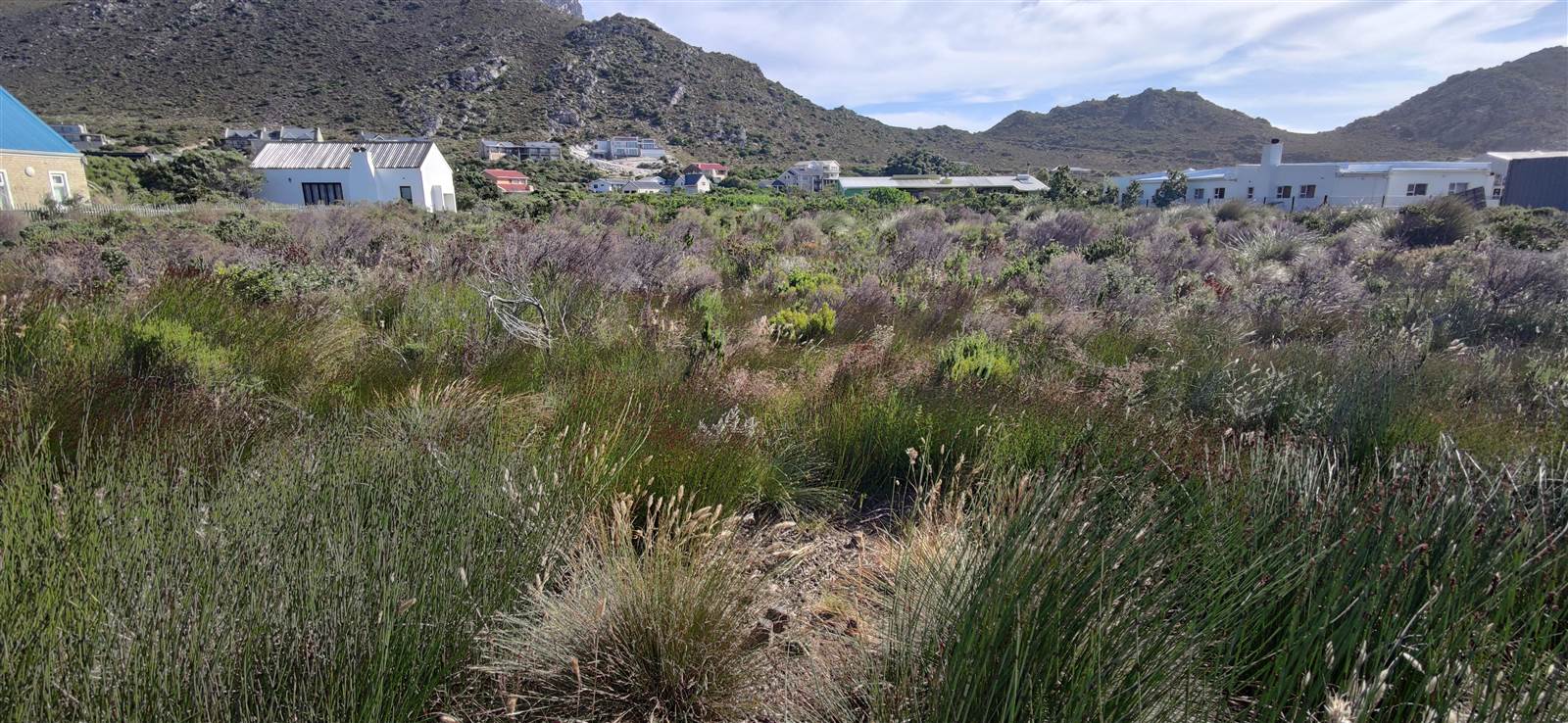 1663 m² Land available in Pringle Bay photo number 7