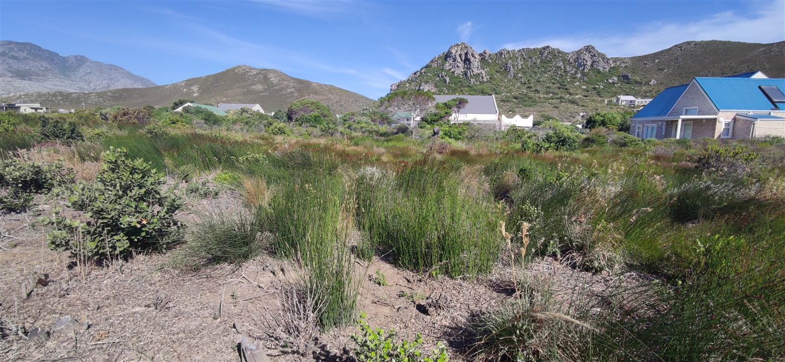 1663 m² Land available in Pringle Bay photo number 6