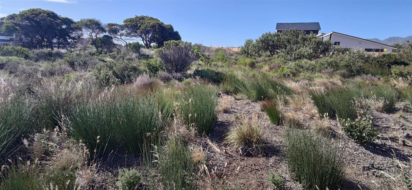 1663 m² Land available in Pringle Bay photo number 4