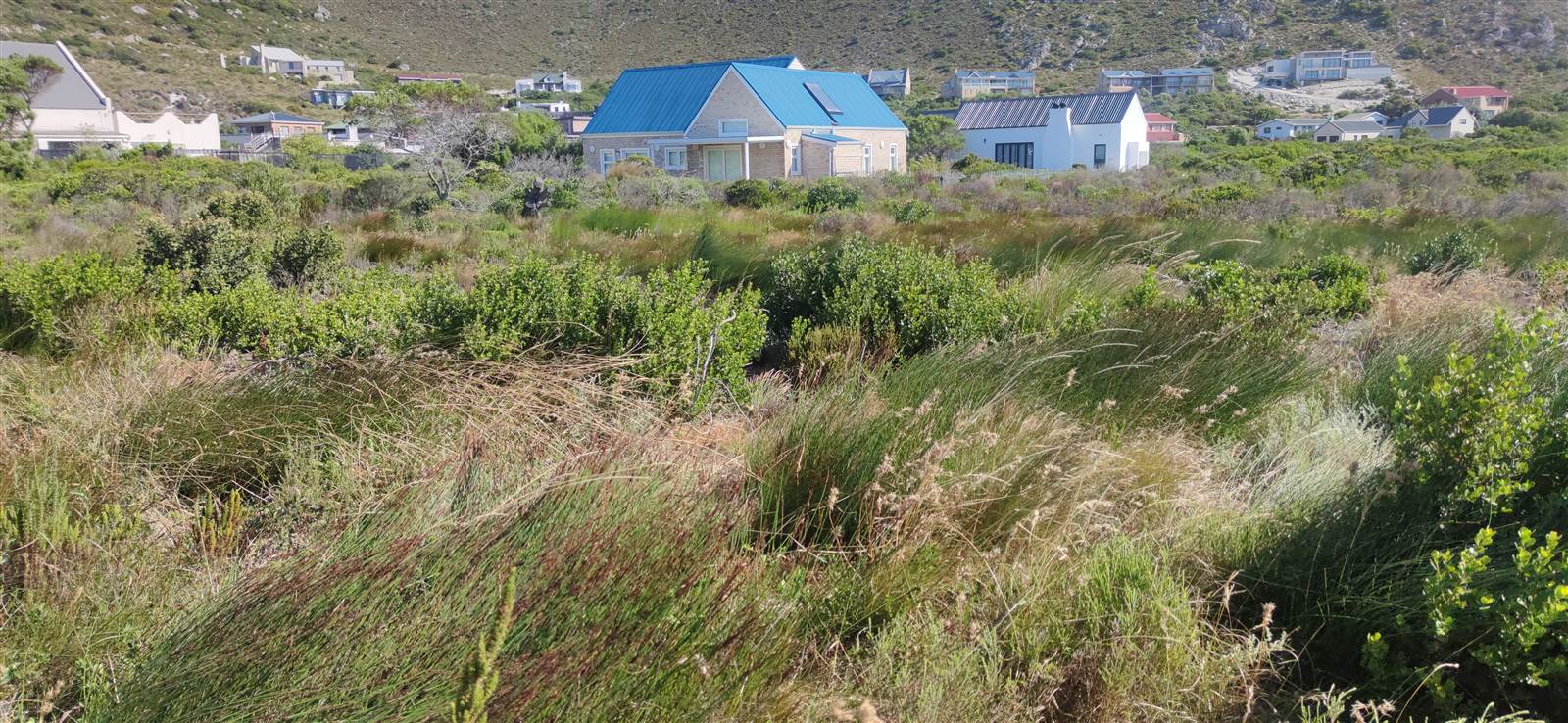 1663 m² Land available in Pringle Bay photo number 1