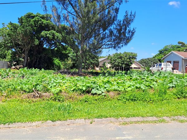 1064 m² Land available in Port Edward