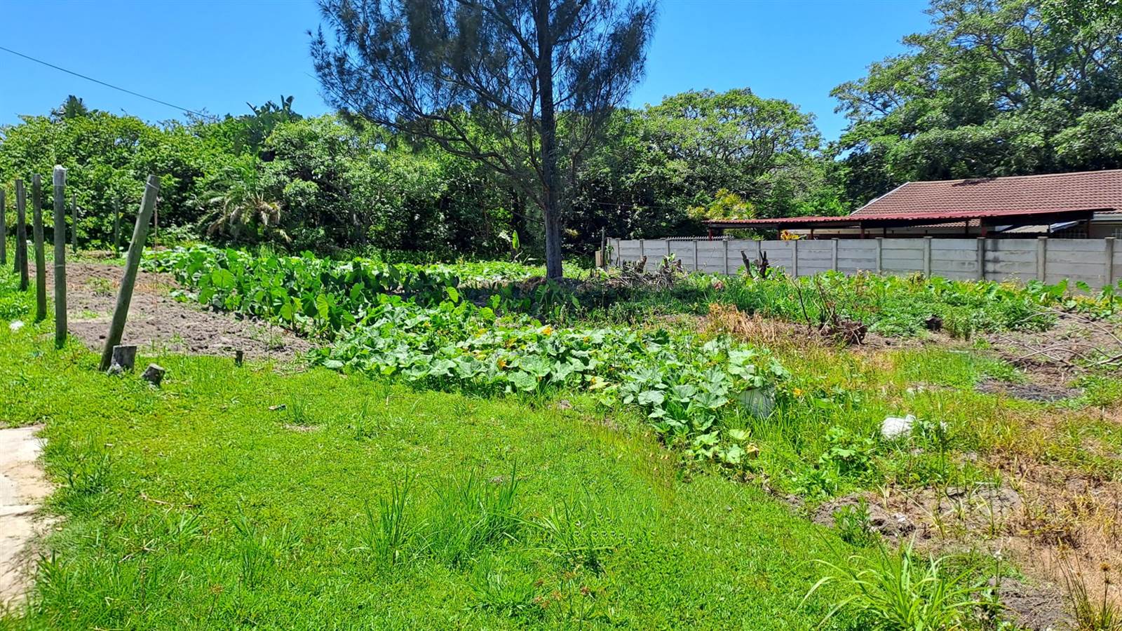 1064 m² Land available in Port Edward photo number 4