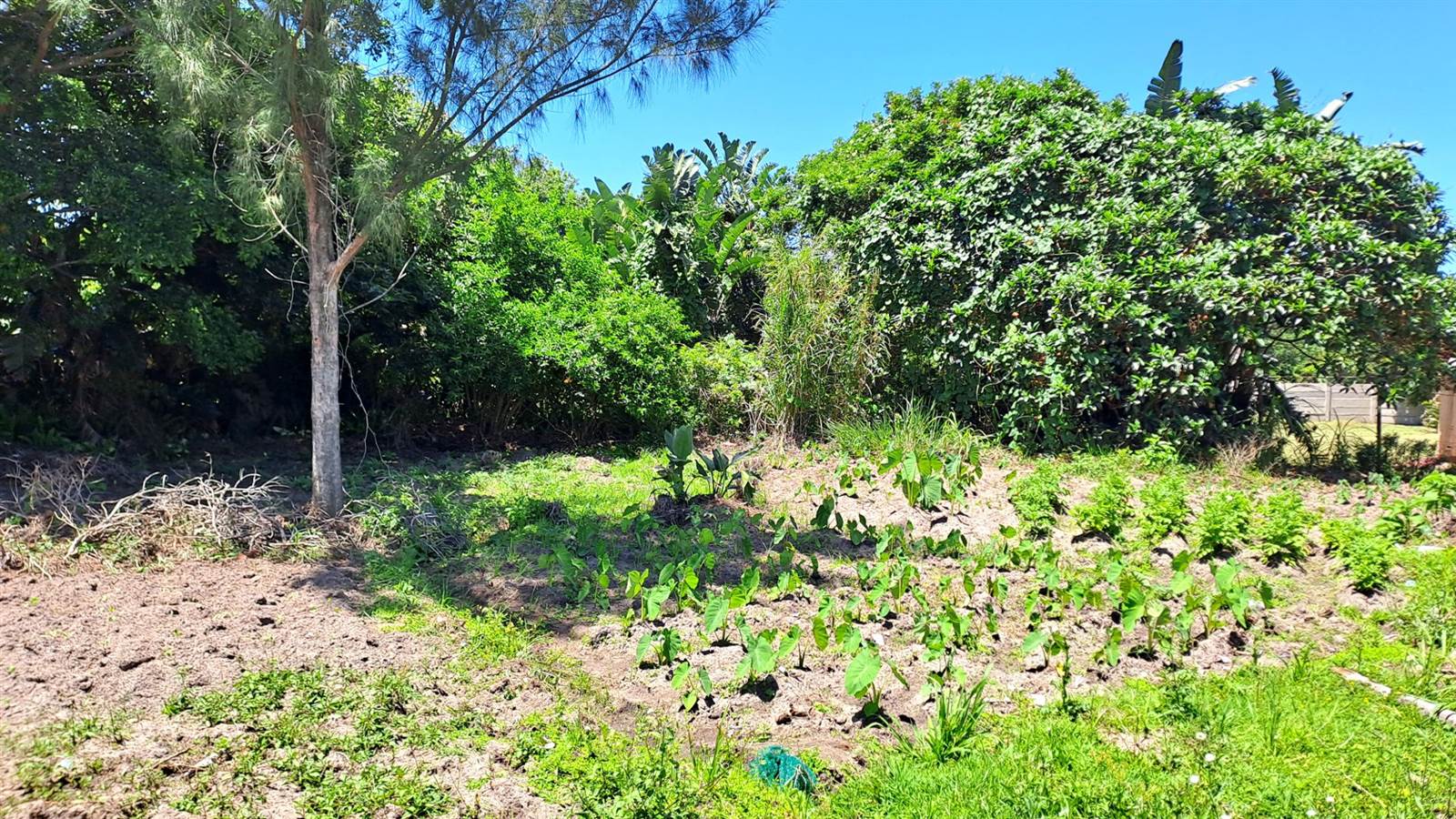 1064 m² Land available in Port Edward photo number 5