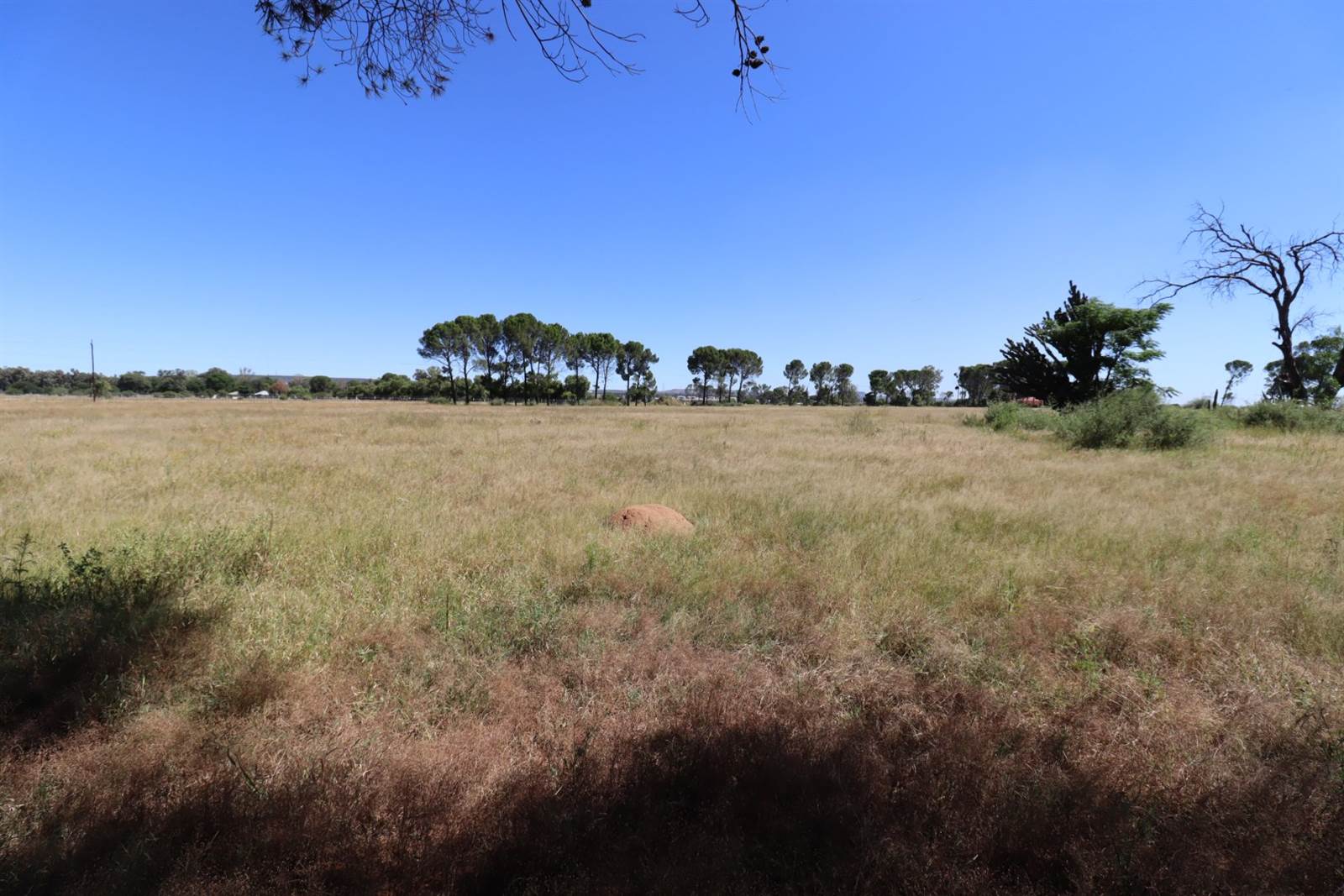 1 ha Land available in Martindale photo number 4