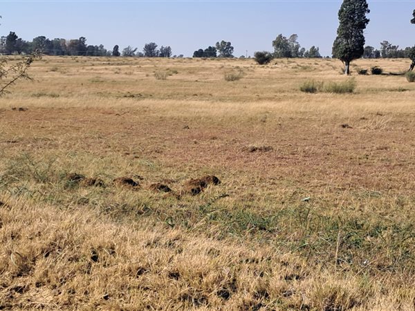 4.2 ha Land