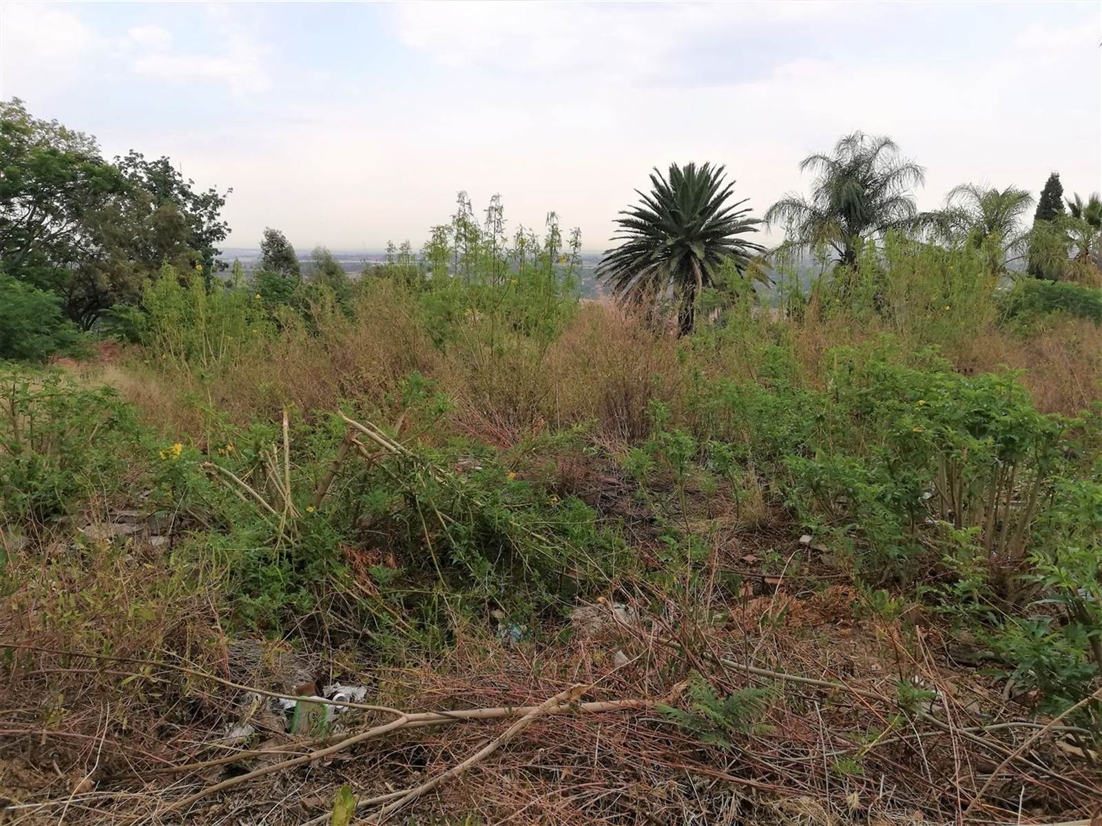 4011 m² Land available in Waterkloof Ridge photo number 17