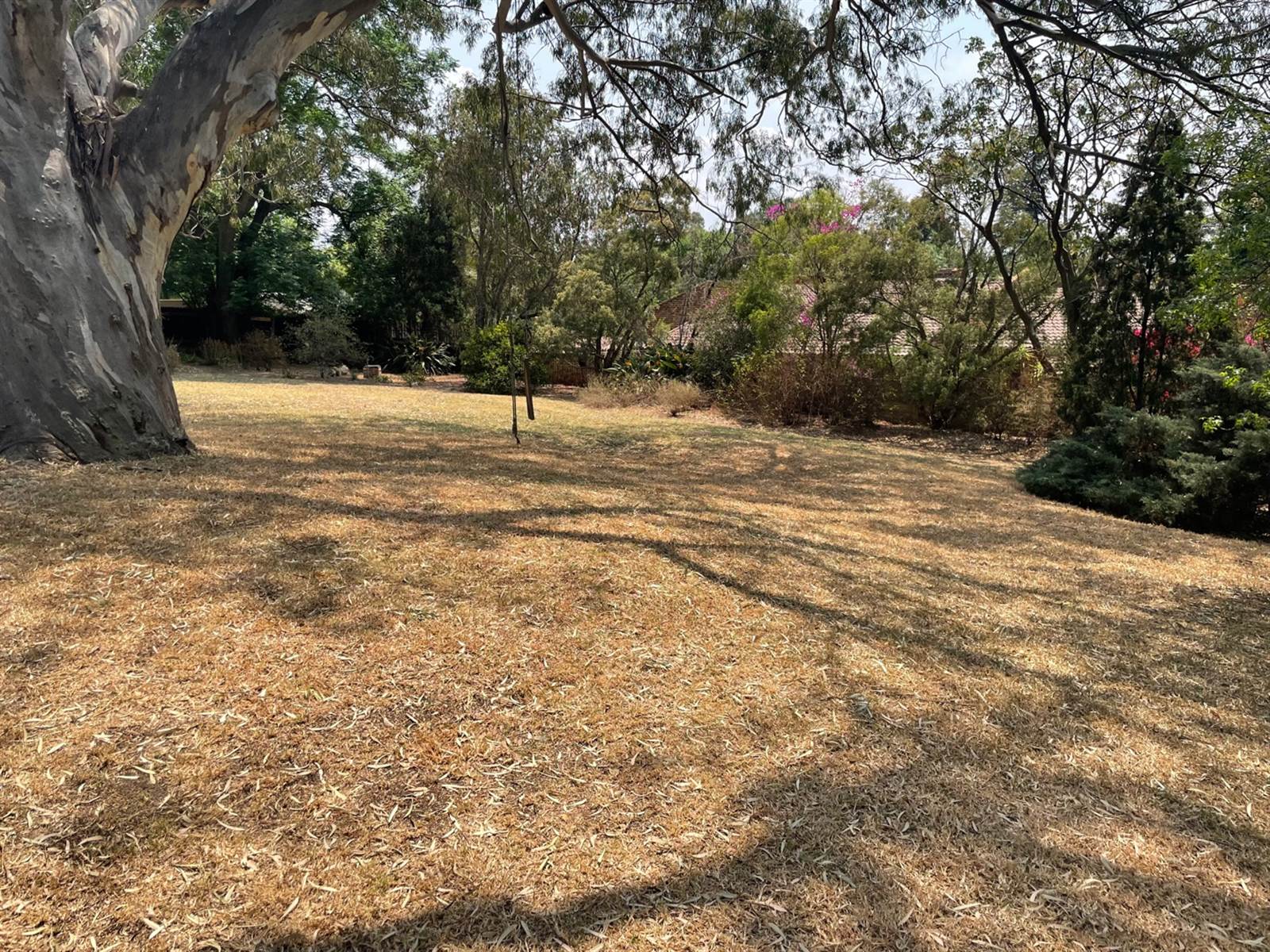 923 m² Land available in Bryanston photo number 11