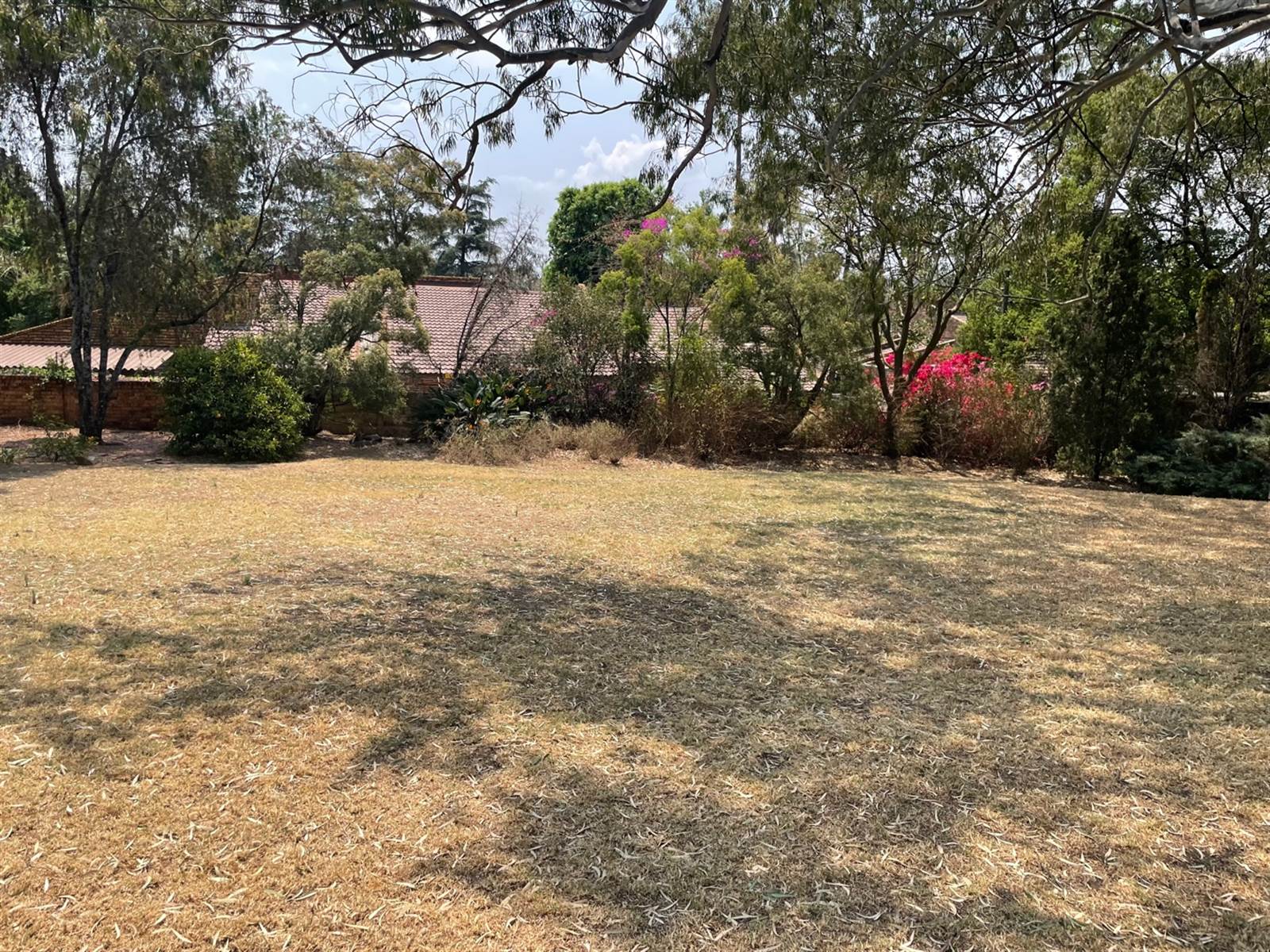923 m² Land available in Bryanston photo number 7