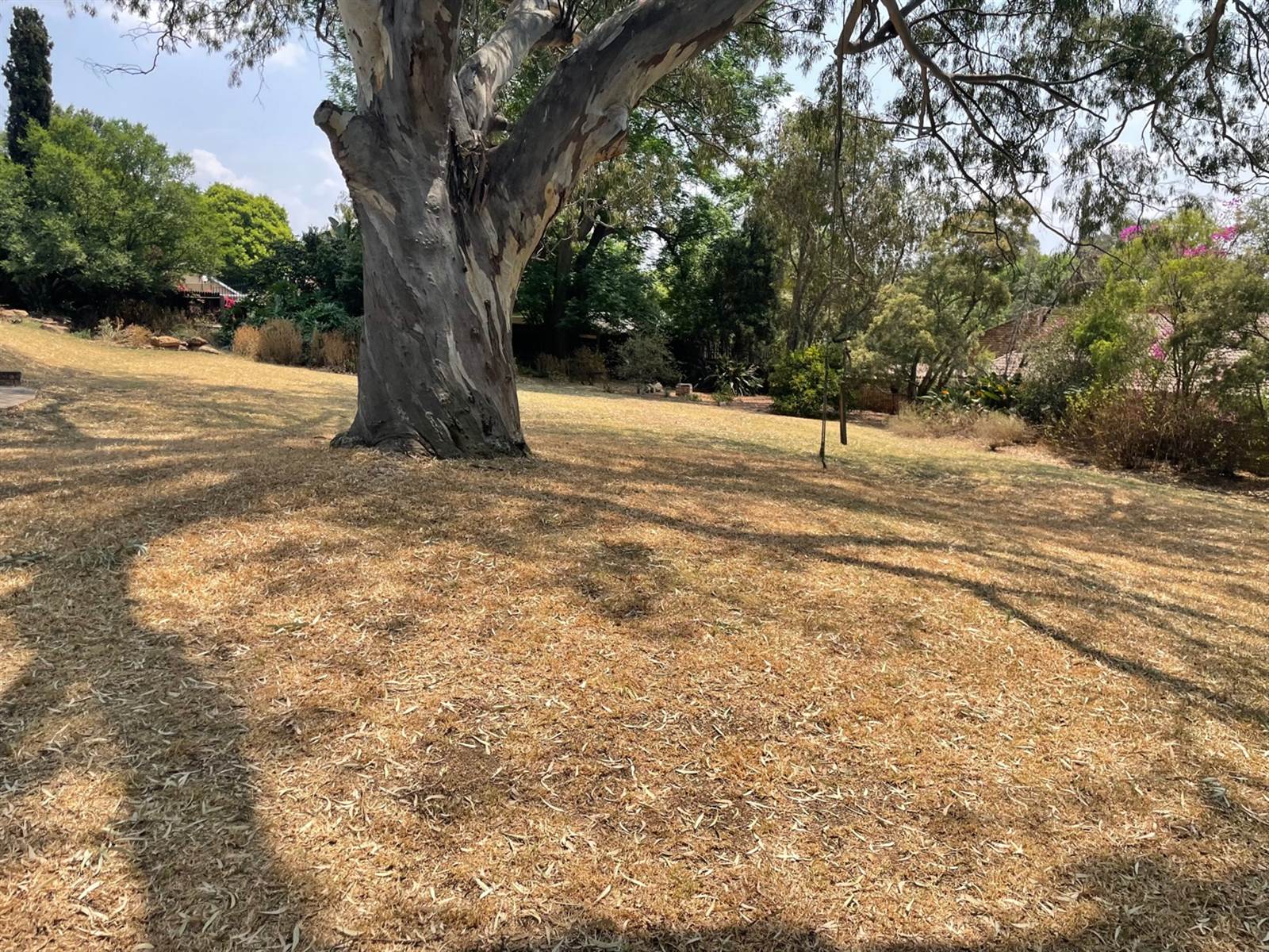 923 m² Land available in Bryanston photo number 13