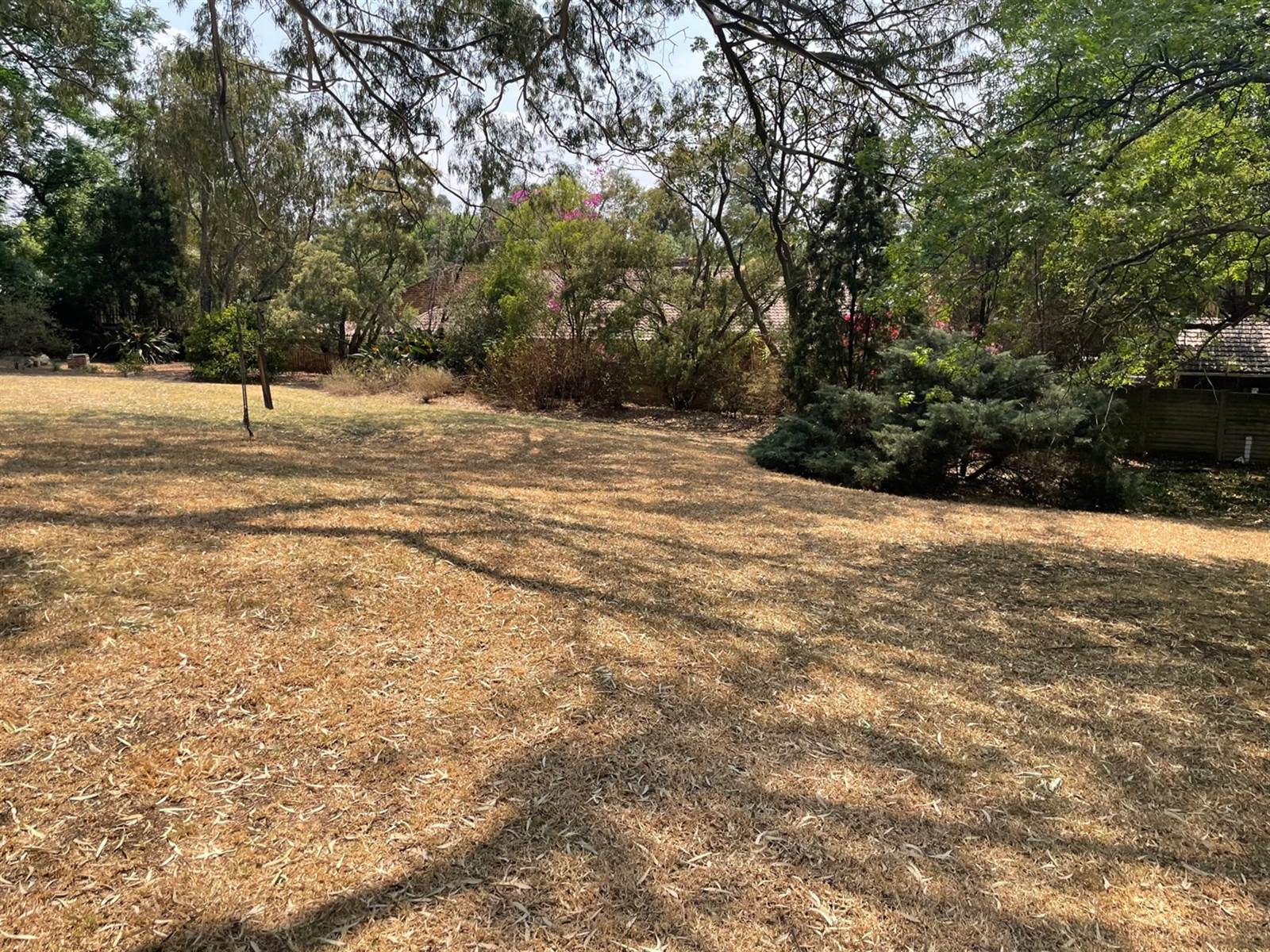923 m² Land available in Bryanston photo number 9