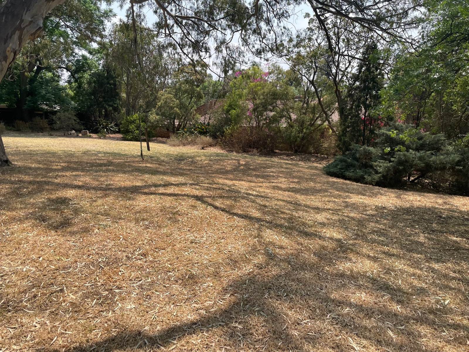 923 m² Land available in Bryanston photo number 10