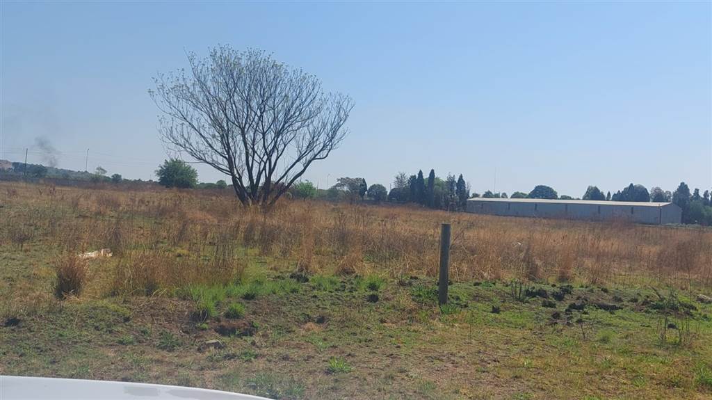 3 ha Land available in Raslouw photo number 4