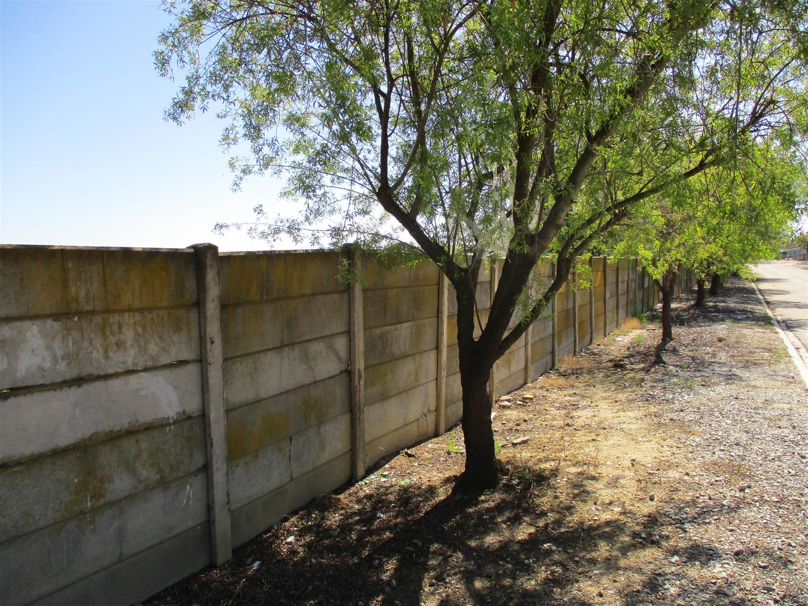 2855 m² Land available in Porterville photo number 6
