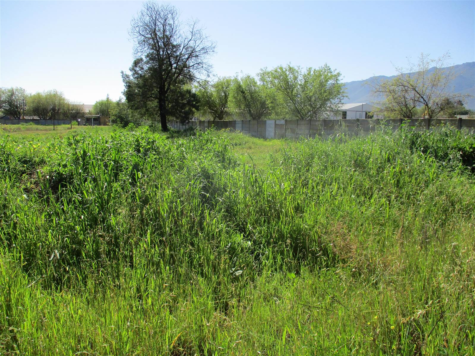2855 m² Land available in Porterville photo number 3