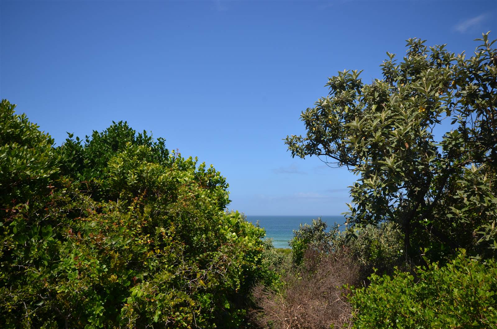 1371 m² Land available in Keurboomstrand photo number 6