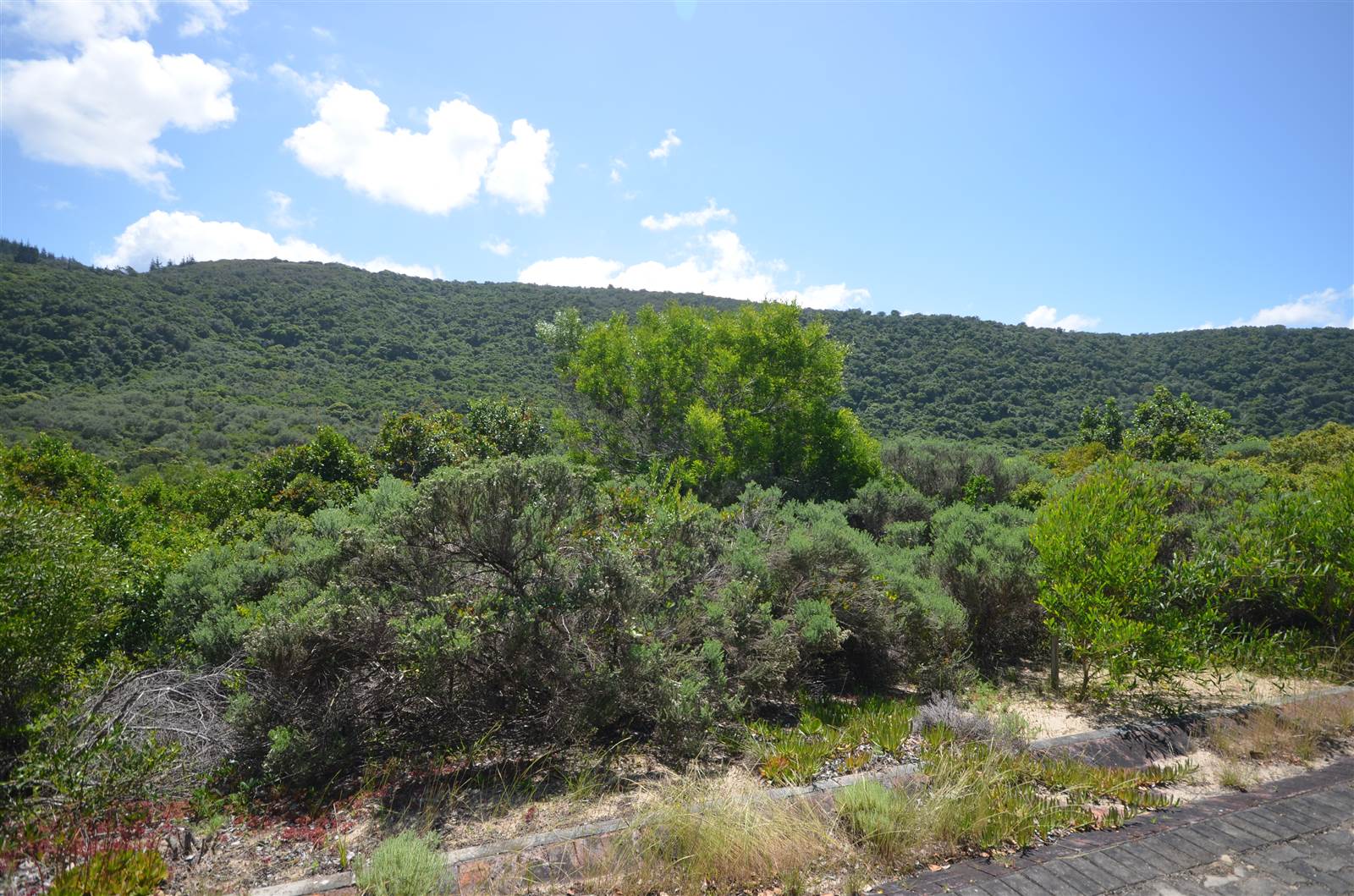 1371 m² Land available in Keurboomstrand photo number 1