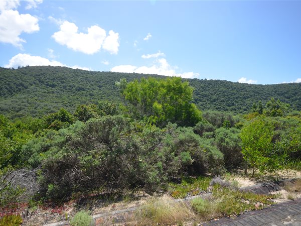 1371 m² Land available in Keurboomstrand